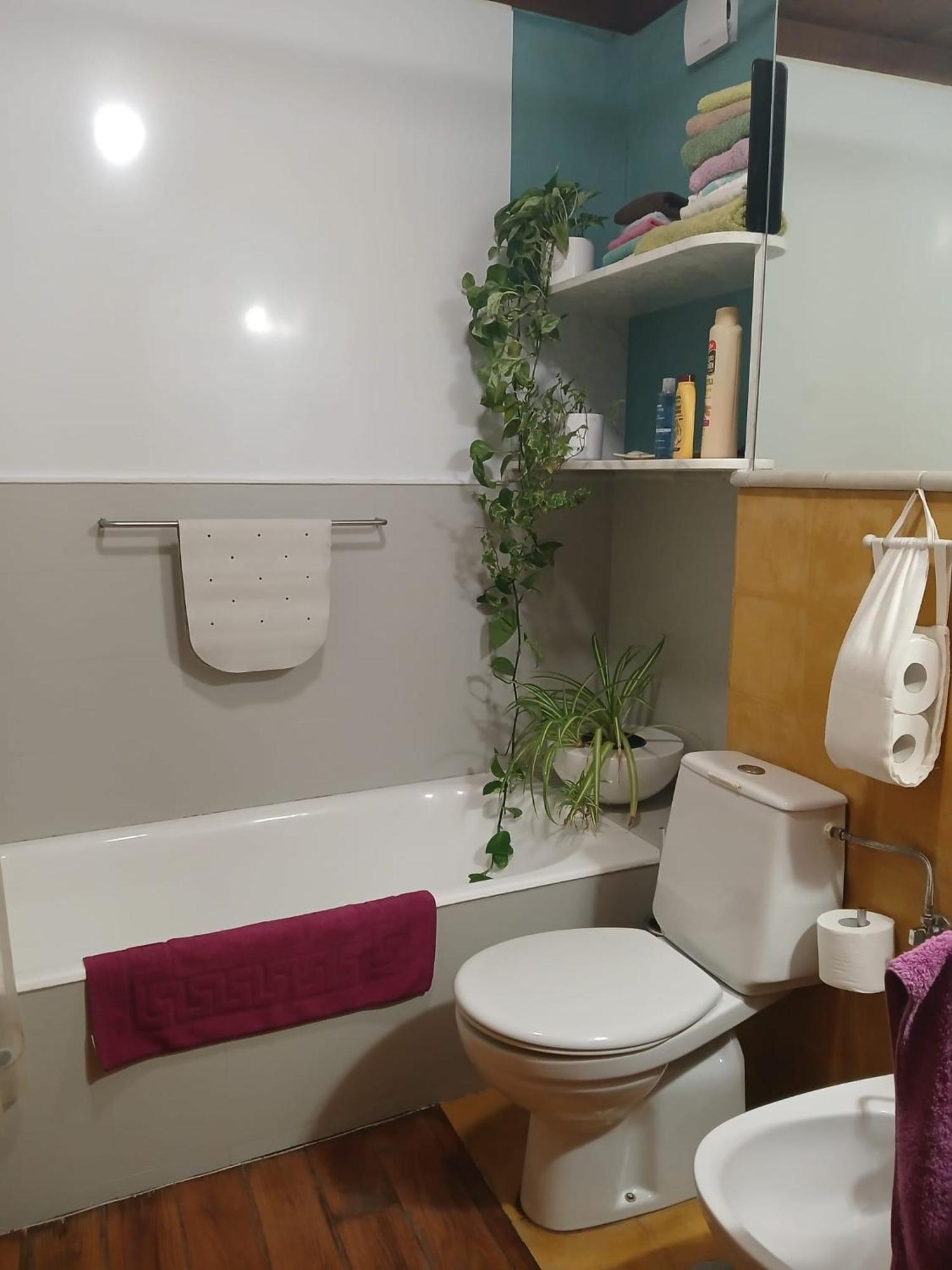 -Morc-Beds & Rooms- بونتيفيذرا المظهر الخارجي الصورة